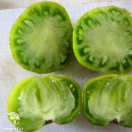 Томат Зеленая Тайна Личинки (2-ной пак.)