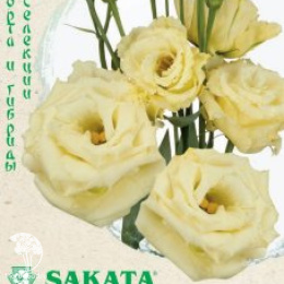 Эустома Алисса желтая F1 крупноцветковая (серия Саката)