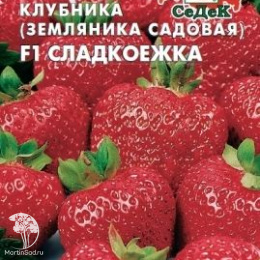 Земляника Сладкоежка F1 (крупноплодная ремонтант.,клубника)