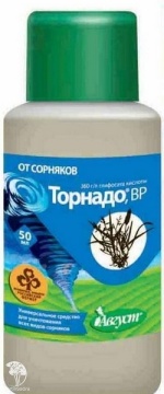 Фото Торнадо