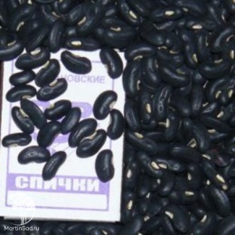 Вигна Графиня  автор.