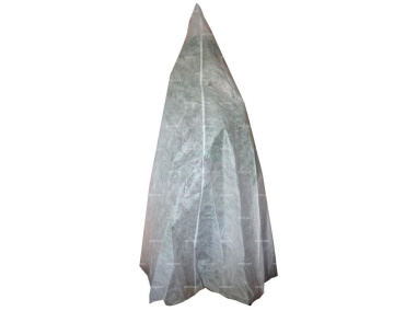 Фото Конус для хвойных растений