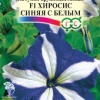 Петуния Хиросис синяя с белым крупноцветковая фото 1 