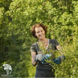 11531-20.000.00 Перчатки для ухода за кустарниками Gardena, размер L