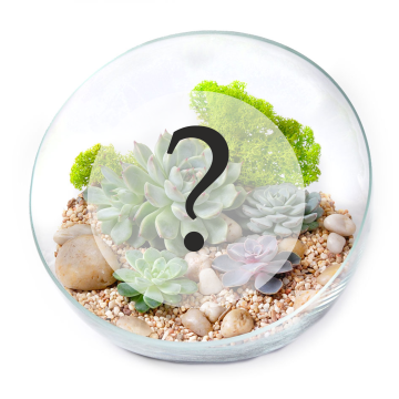 Фото Флорариум под заказ