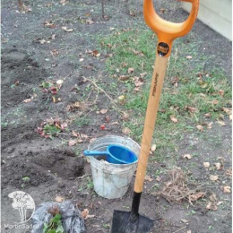 Лопата штыковая Дача