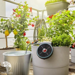 Таймер подачи воды на солнечной батарее с интегрированным насосом Gardena aquaBloom