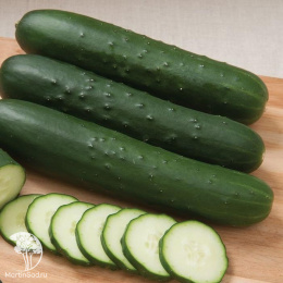 Огурец Зозуля F1