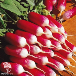 Набор семян Корнеплоды 4 пакета (б\п)