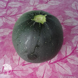 Кабачок Поваренок автор.