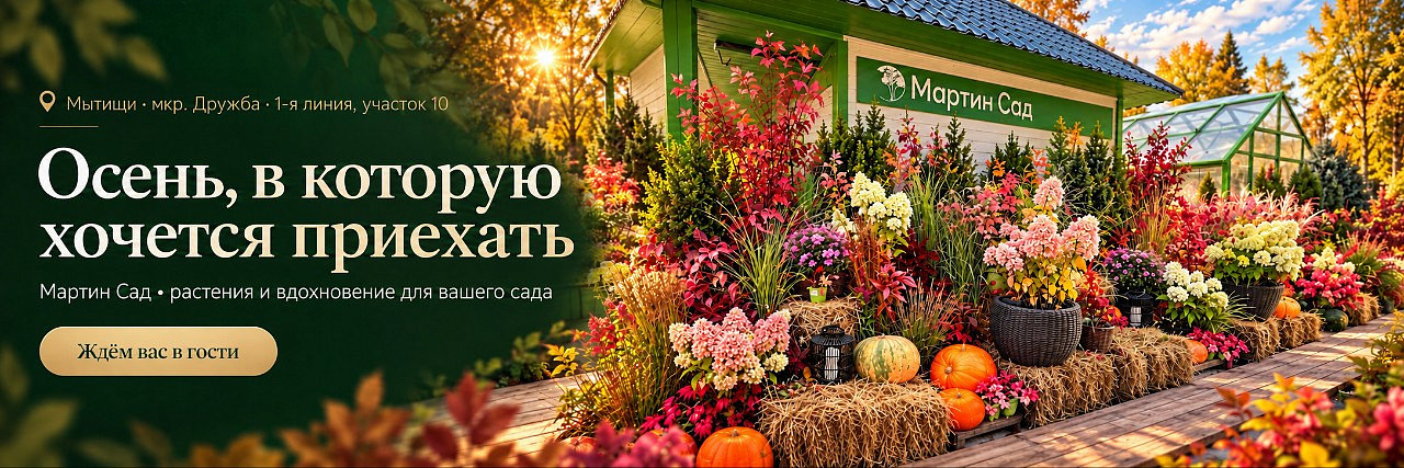 Осень в Мартин сад