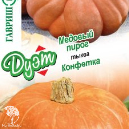 Тыква Медовый пирог+Конфетка (серия Дуэт)