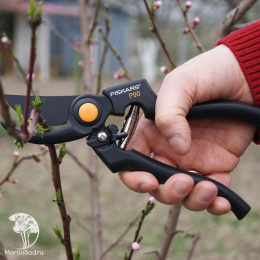 Профессиональный садовый секатор P90