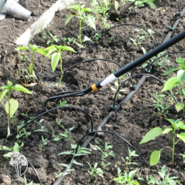  Культиватор SolidTM