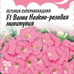 Петуния Волна Нежно-розовая F1 Минитуния (серия Розовые сны) суперкаскадная