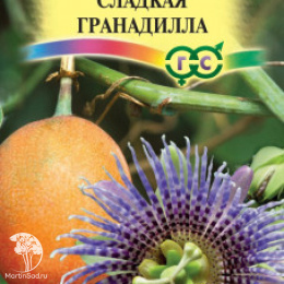 Пассифлора язычковая Сладкая гранадилла