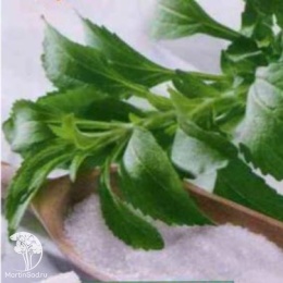 Стевия Лакомка