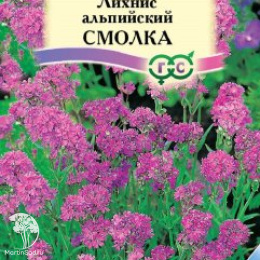 Лихнис альпийский (смолка), серия Альпийская горка