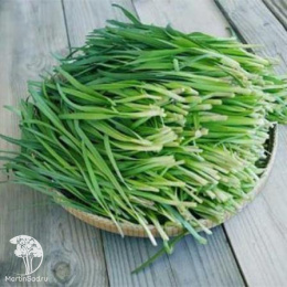 Лук душистый Пикантный ---  Мн