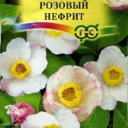 Каликант китайский Розовый нефрит