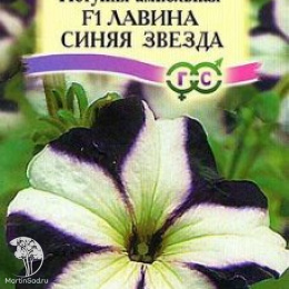 Петуния Лавина Синяя Звезда F1 ампельная