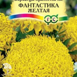 Бархатцы прямостоячие (Тагетес прямостоячий) Фантастик