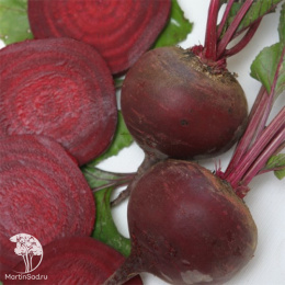 Набор семян Борщ 4 пак.+1 в подарок