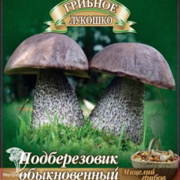 Подберёзовик