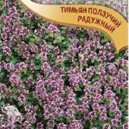 Тимьян ползучий (чабрец) Радужный