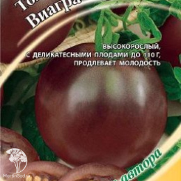 Томат Виагра  шоколадный!