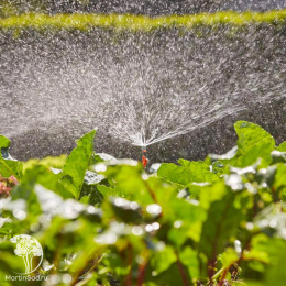 Микронасадка 360* (5 шт. в блистере) Gardena