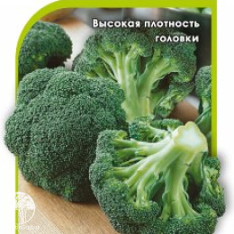 Капуста брокколи Фиеста F1 (Голландия)