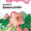 Бругмансия Аромагия розовая, серия Розовые сны фото 1 