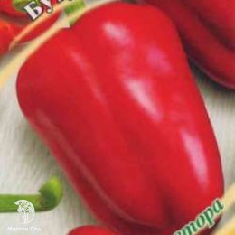 Перец Бутуз 