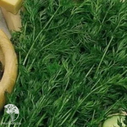 Тмин Аппетитный