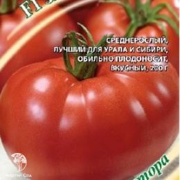 Томат Звезда Сибири