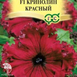 Петуния Кринолин красный F1 Фриллитуния (серия Элитная клумба) бахромчатая
