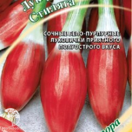 Лук репч. Стиляга