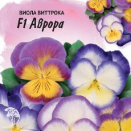 Виола Аврора F1, Виттрока (Анютины глазки) серия Фарао