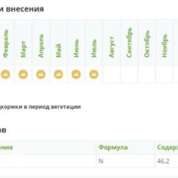 Карбамид (Мочевина)  (N-46,2%)	Фетика