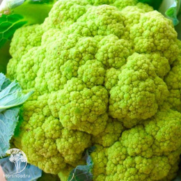 Капуста цветная Универсал