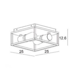 CARLYN Ceiling Light Bathroom 2xE14/6W Black