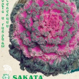 Капуста декоративная Нагойя красная F1 Саката серия Эксклюзив