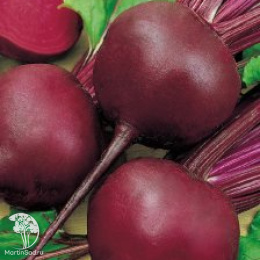 Свекла Барыня, серия Русский вкус!