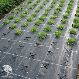 Укрывной материал АГРО мульча 60 (белый)