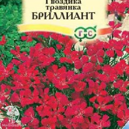 Гвоздика травянка Бриллиант, серия Альпийская горка