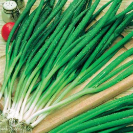 Лук батун Изумрудный +Салат Яхонт  серия Дуэт Хорошие соседи 