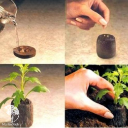 Торфяная таблетка Jiffy-7 (44 мм)