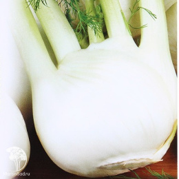 Фенхель овощной Удалец 