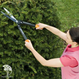  Ножницы для живой изгороди PowerGear HS72